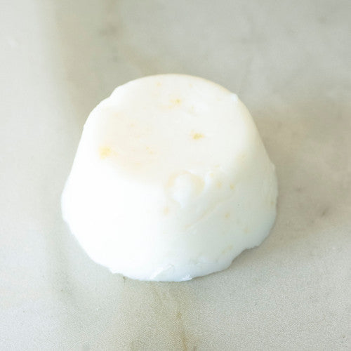 Seaweed Solid Conditioner Bar - For All Hair Types